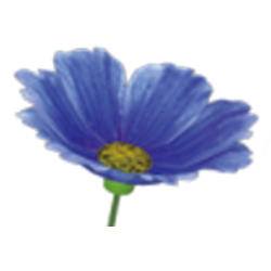 <span style="color: #07aefc"></span>素材