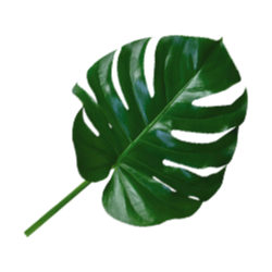 <span style="color: #07aefc"></span>素材