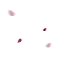 <span style="color: #07aefc"></span>素材