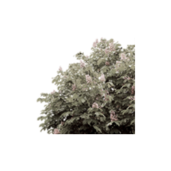 <span style="color: #07aefc"></span>素材