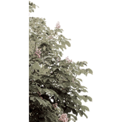 <span style="color: #07aefc"></span>素材