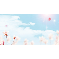 <span style="color: #07aefc"></span>素材