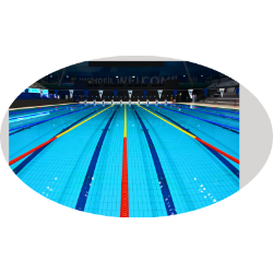 <span style="color: #07aefc"></span>素材