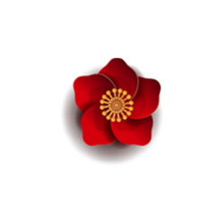 <span style="color: #07aefc"></span>素材