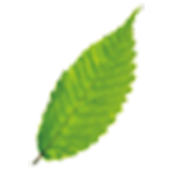 <span style="color: #07aefc"></span>素材