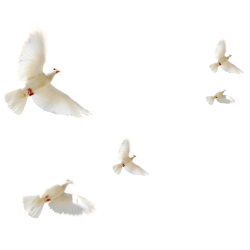 <span style="color: #07aefc"></span>素材