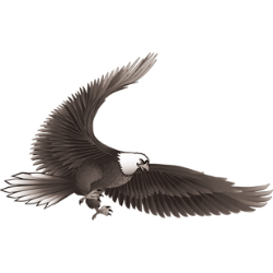 <span style="color: #07aefc"></span>素材