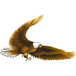 <span style="color: #07aefc"></span>素材