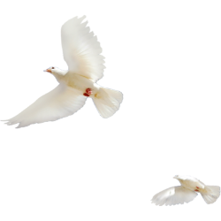 <span style="color: #07aefc"></span>素材