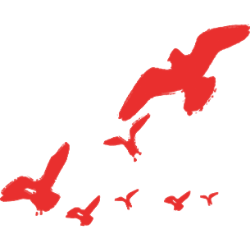 <span style="color: #07aefc"></span>素材