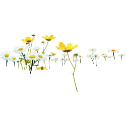 <span style="color: #07aefc"></span>素材