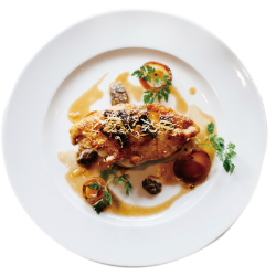 <span style="color: #07aefc"></span>素材