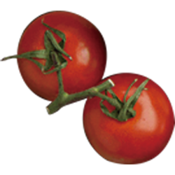 <span style="color: #07aefc"></span>素材