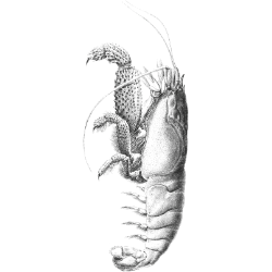 <span style="color: #07aefc"></span>素材