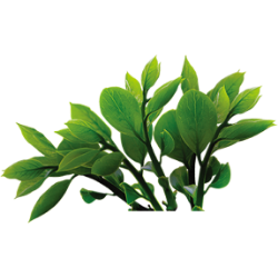 <span style="color: #07aefc"></span>素材