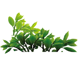 <span style="color: #07aefc"></span>素材