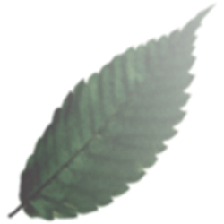 <span style="color: #07aefc"></span>素材