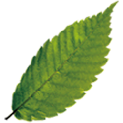 <span style="color: #07aefc"></span>素材