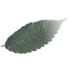 <span style="color: #07aefc"></span>素材