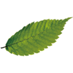 <span style="color: #07aefc"></span>素材