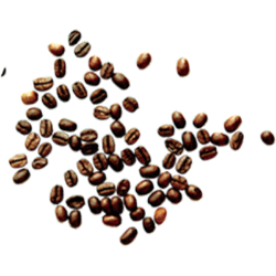 <span style="color: #07aefc"></span>素材