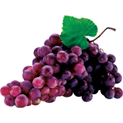 <span style="color: #07aefc"></span>素材