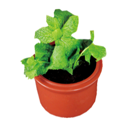 <span style="color: #07aefc"></span>素材