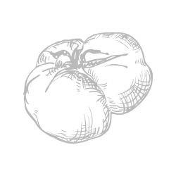 <span style="color: #07aefc"></span>素材