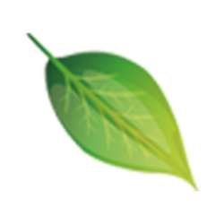 <span style="color: #07aefc"></span>素材