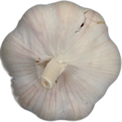 <span style="color: #07aefc"></span>素材