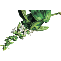 <span style="color: #07aefc"></span>素材