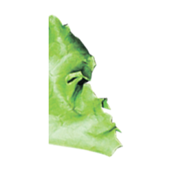 <span style="color: #07aefc"></span>素材