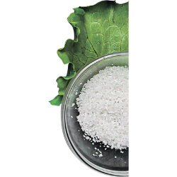 <span style="color: #07aefc"></span>素材