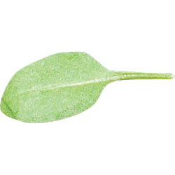 <span style="color: #07aefc"></span>素材