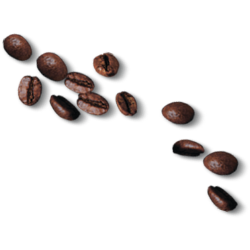 <span style="color: #07aefc"></span>素材