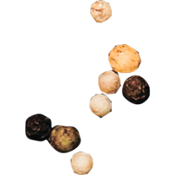 <span style="color: #07aefc"></span>素材