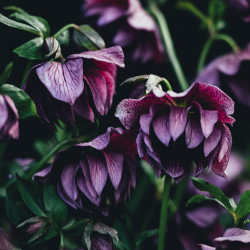 <span style="color: #07aefc"></span>素材