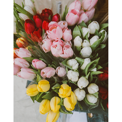 <span style="color: #07aefc"></span>素材