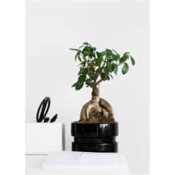 <span style="color: #07aefc"></span>素材