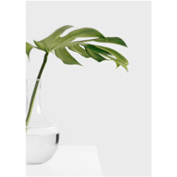 <span style="color: #07aefc"></span>素材