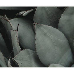 <span style="color: #07aefc"></span>素材