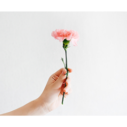 <span style="color: #07aefc"></span>素材