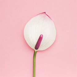 <span style="color: #07aefc"></span>素材