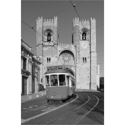 <span style="color: #07aefc"></span>素材