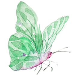 <span style="color: #07aefc"></span>素材