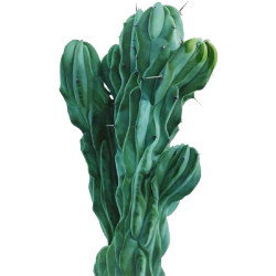 <span style="color: #07aefc"></span>素材