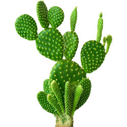 <span style="color: #07aefc"></span>素材