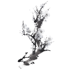 <span style="color: #07aefc"></span>素材