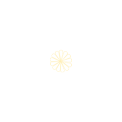 <span style="color: #07aefc"></span>素材