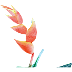 <span style="color: #07aefc"></span>素材